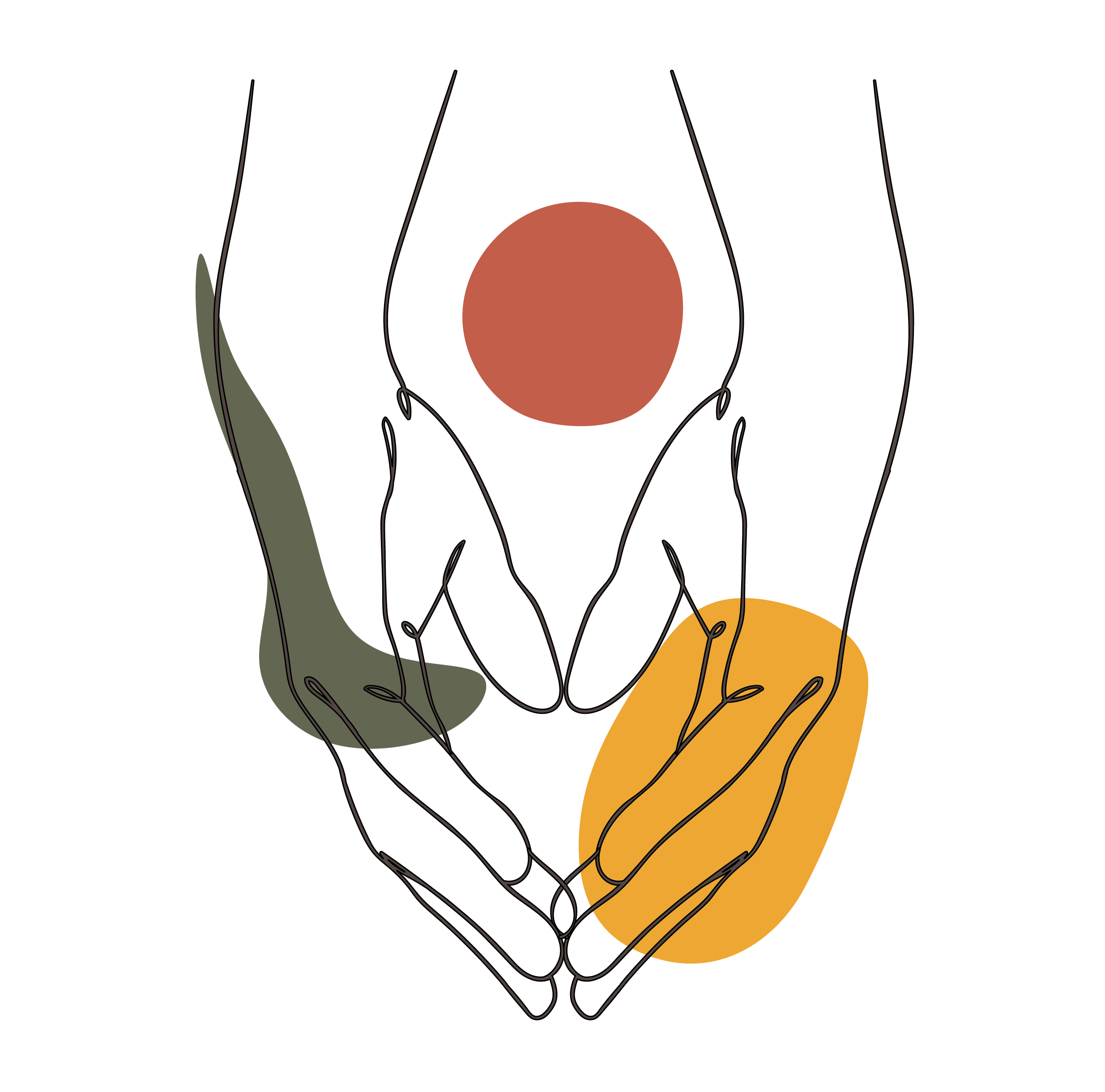 soyo-in-intégrité-icone